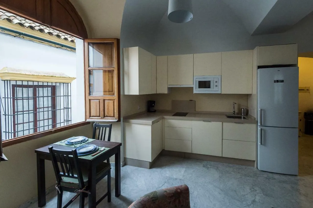 Apartamento Medina Y Corella Hotel Cordoba 0*,  Spain