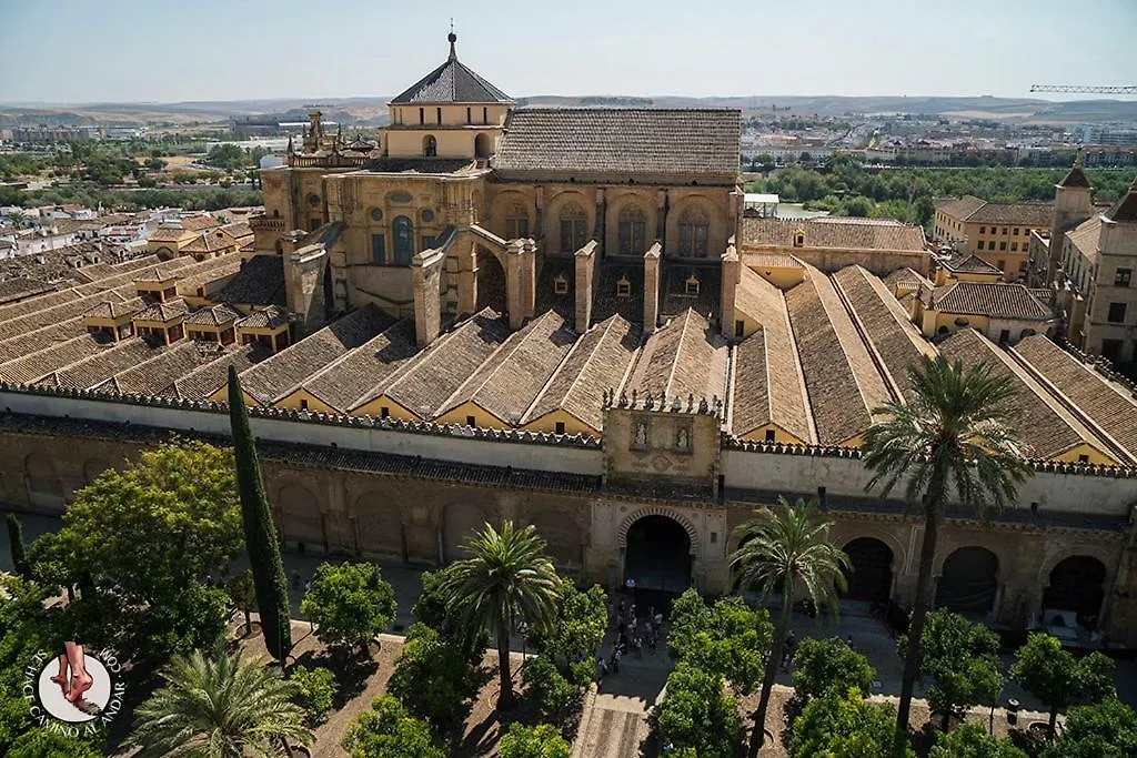 Apartamento Medina Y Corella Hotel Cordova 0*,  Spagna
